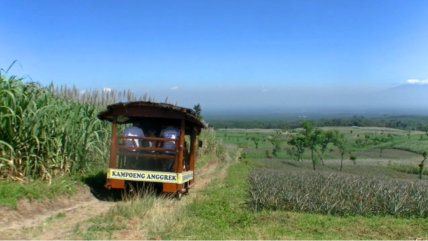 Asyiknya Tour Kebun Kampoeng Anggrek… | Kampoeng Anggrek