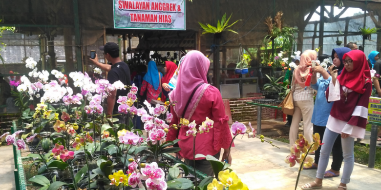 Swalayan anggrek di Kampoeng Anggrek Kediri, Jawa Timur, Minggu (11/2/2018).(KOMPAS.com/M AGUS FAUZUL HAKIM) 