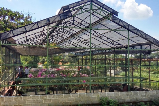 Perisai Pintar: Greenhouse dengan Plastik UV dan Insectnet